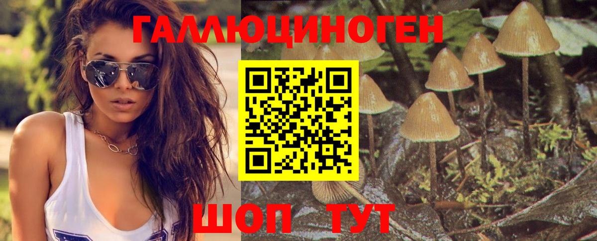 Ртищево  Псилоцибиновые грибы Magic Shrooms  Вход с VPN 